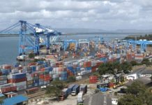 Japanese giants Toyota Tsusho, Mitsui win Sh. 6.8bn cargo cranes deal