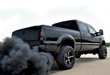 Curbing diesel emission could reduce big city mortality