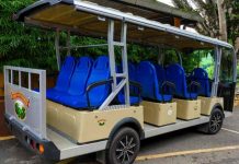 Why passenger cars remain the most prominent vehicle in the EV battery market