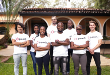 Peach Cars, a Kenyan used-car marketplace, raises $5M in seed investment 桃子的汽车